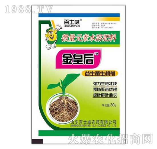 ������������-��ʿ��