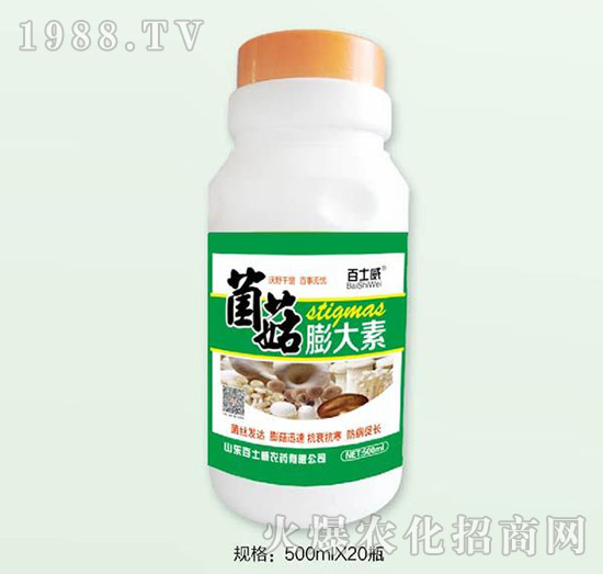 ���������-��ʿ��