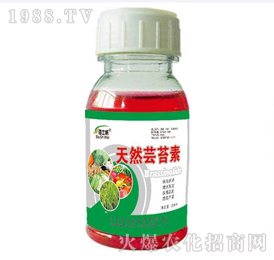 ��Ȼ�|̦��-��ʿ��