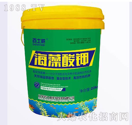 �������-��ʿ��