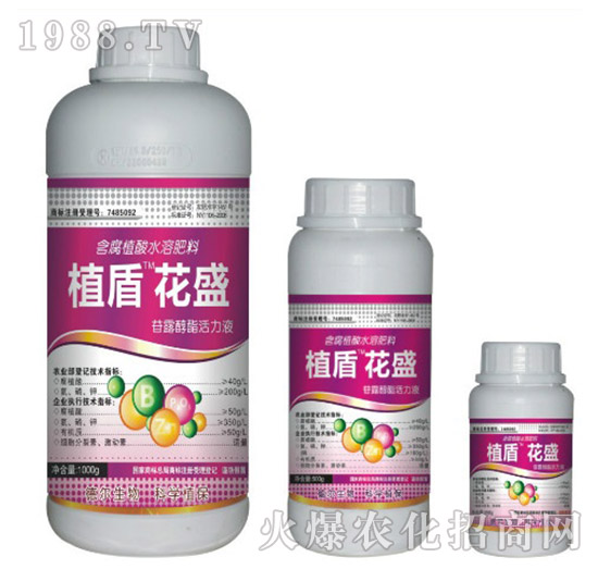 ��ʢ-ֲ��-� �����