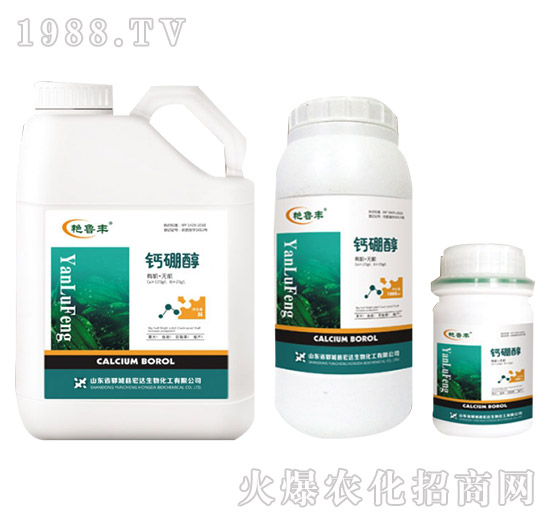 �}�𴼡����_(d��)����