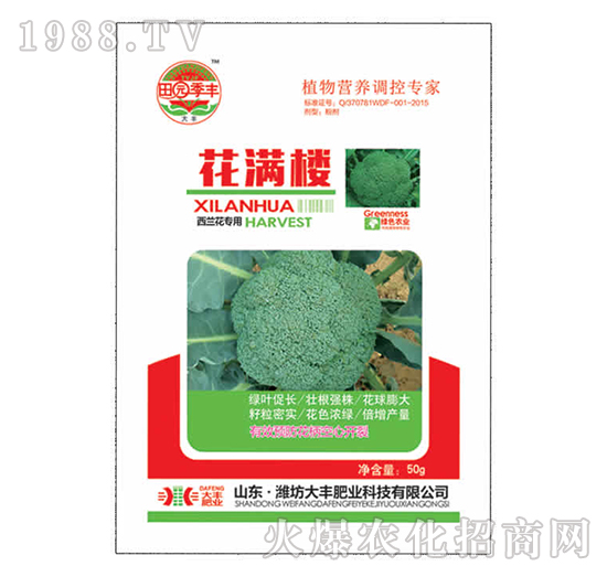 ���m�����û��M��-��@���S-���S�ʘI(y��)