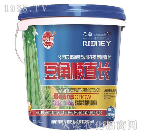 豆角順直長-田園季豐-大豐肥業(yè)