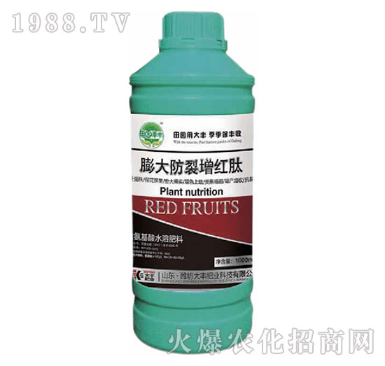 ���������t�-��@���S-���S�ʘI(y��)