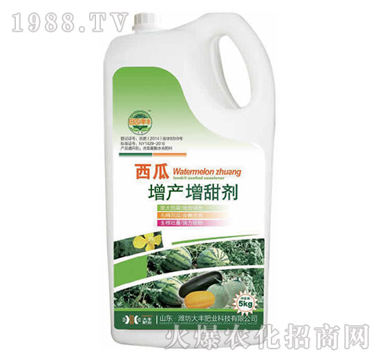 �������a(ch��n)������-��@���S-���S�ʘI(y��)