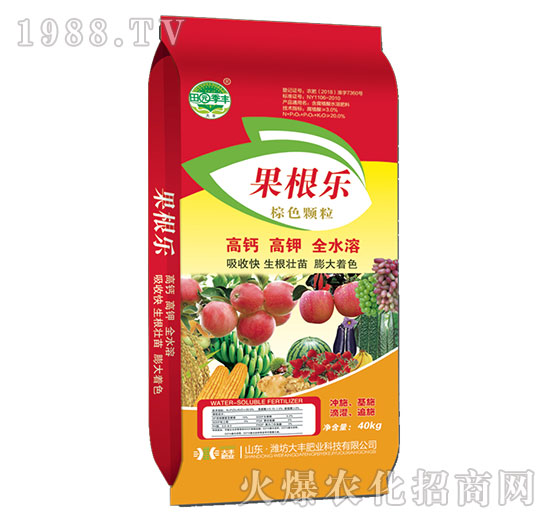 ������(l��)-��@���S-���S�ʘI(y��)