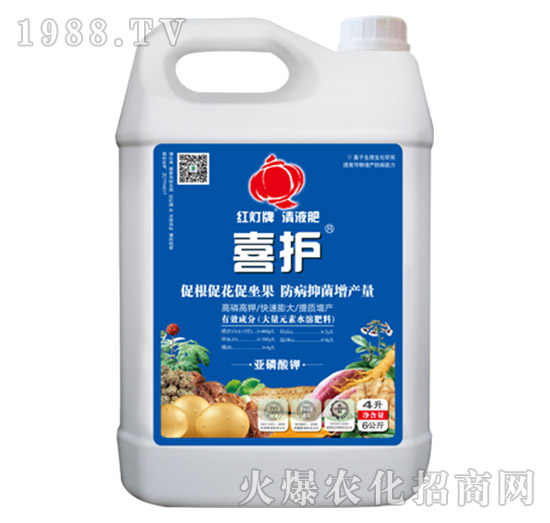 ϲ�o-������