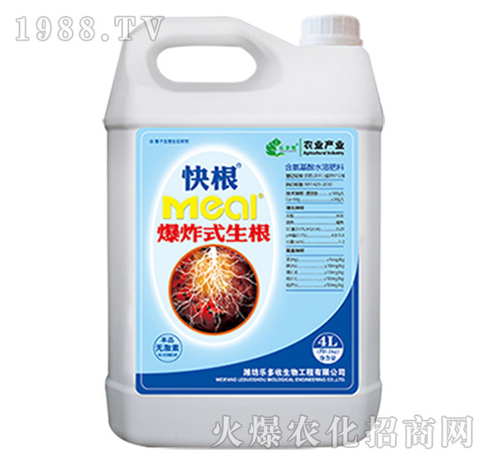 ���-��(l��)����