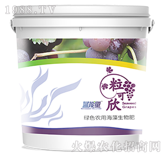 ������-�{(l��n)����