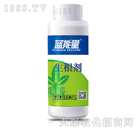 ������-�{(l��n)����