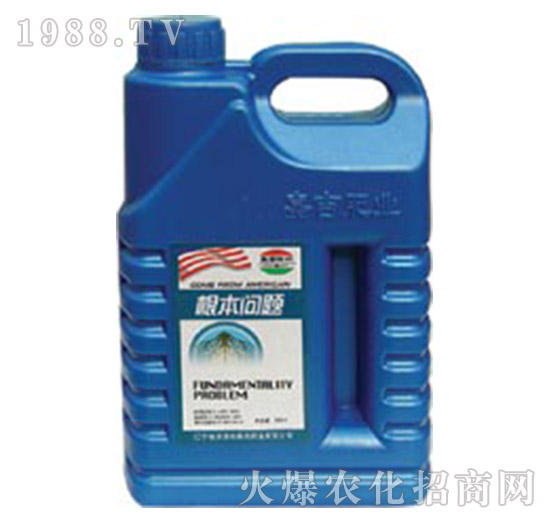 根本問(wèn)題-嘉吉