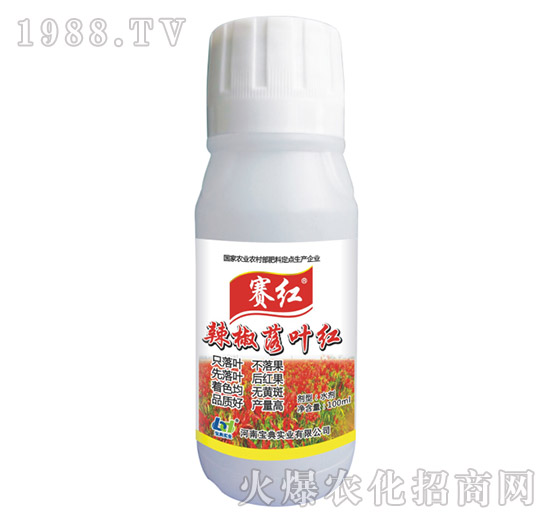 �������~�t-ِ�t-���䌍�I(y��)