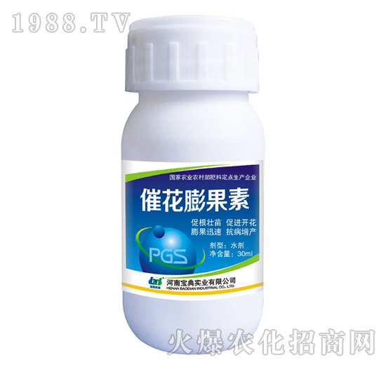 �߻������-���䌍�I(y��)