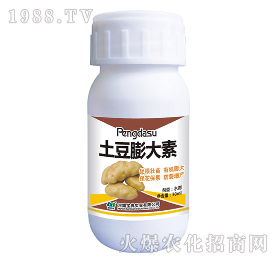 ���������-���䌍�I(y��)