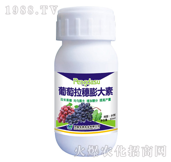 �������������-���䌍�I(y��)