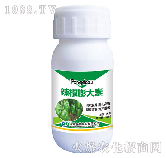 ���������-���䌍(sh��)�I(y��)