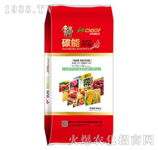 ̼��׷ʩ��-���w��-���r(n��ng)ʩ���S