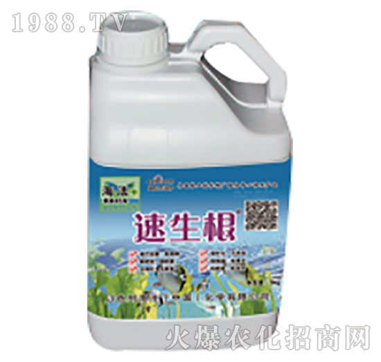 ������-����