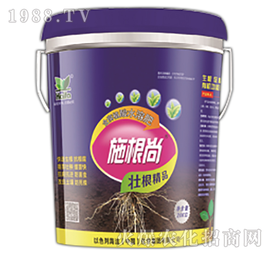 ʩ����-����