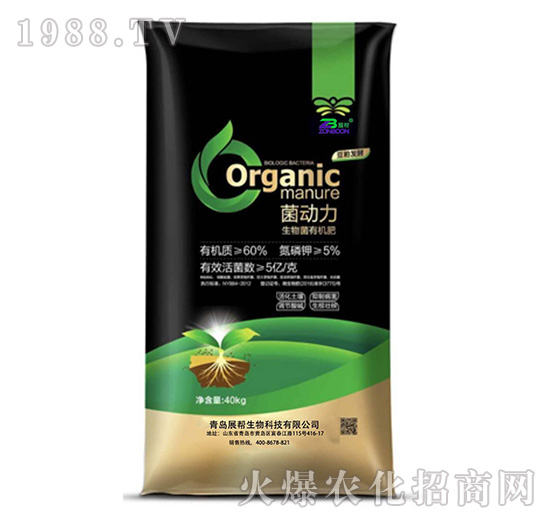 ������-չ������