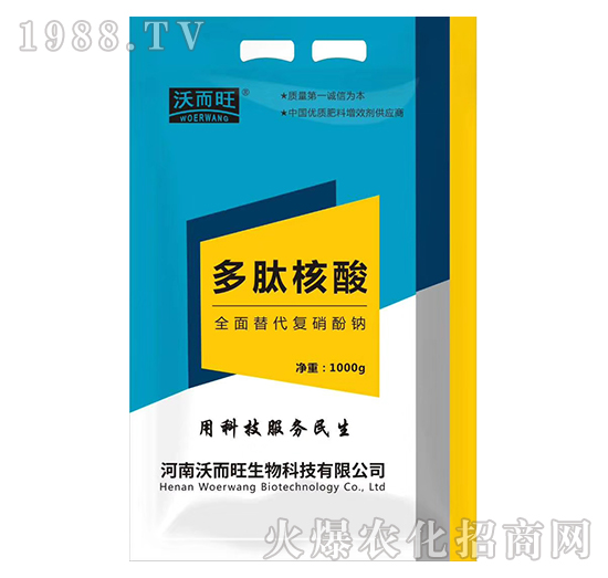 ���ĺ���-�ֶ���