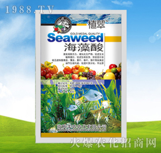 ������-ֲ��-�S�r�r��