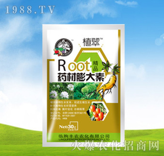 ˎ�������-ֲ��-�S�r�r��