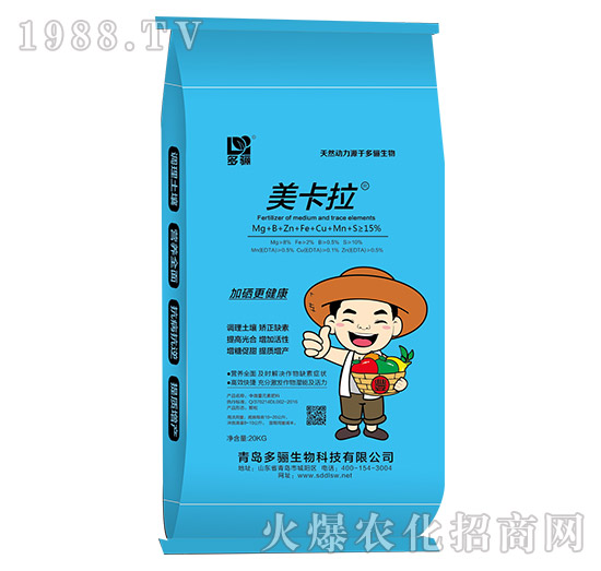 ���������{����-���P����