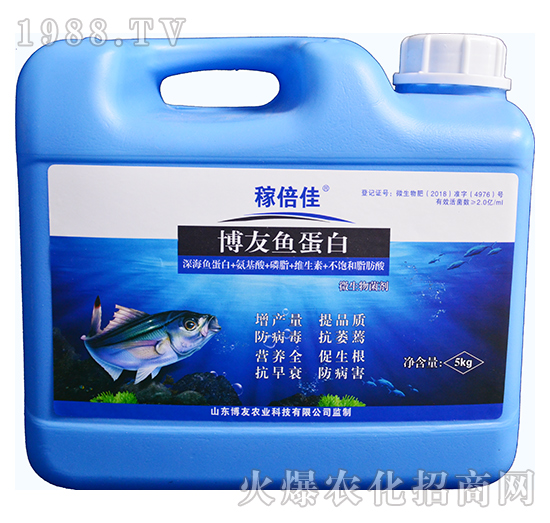 �����~����-�ڱ���-�����r(n��ng)�I(y��)