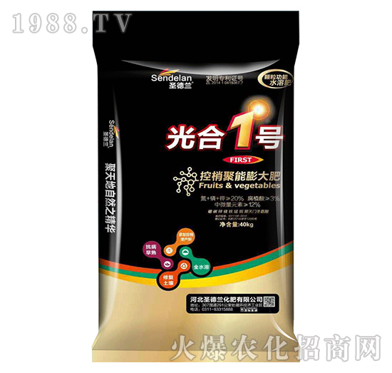 ���Ҿ�������-���1̖-ʥ���m