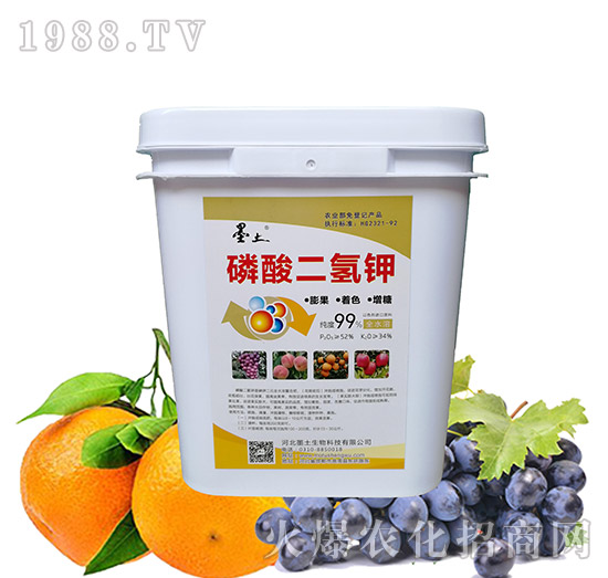 �������⛣�Ͱ��-ī��