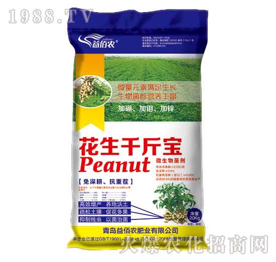 ����ǧ����-����r