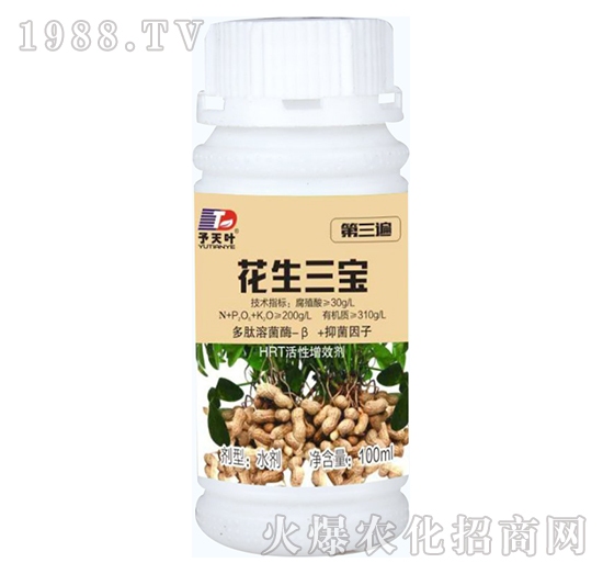 ���������������飩-���~����