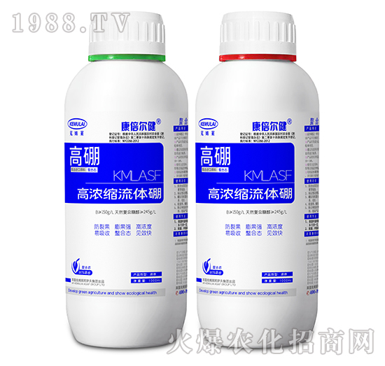 �ߝ�s���w��-����-��������-��ķ�R