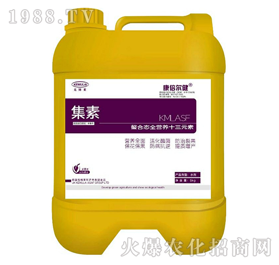 ���ϑB(t��i)ȫ�I(y��ng)�B(y��ng)ʮ��Ԫ�أ�Ͱ��-����-��������-��ķ�R