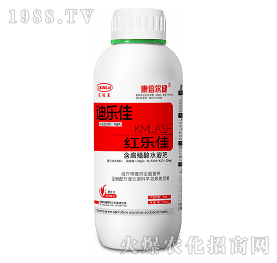 �t��(l��)��-��������-��ķ�R