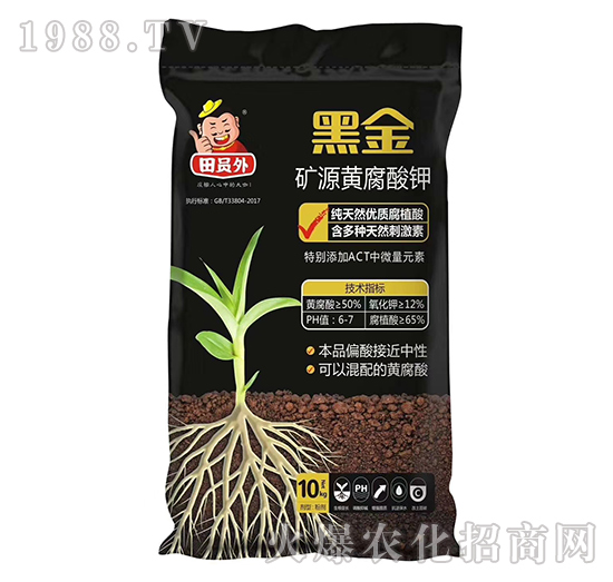 �VԴ�S�����-�ڽ�-�f(w��n)��