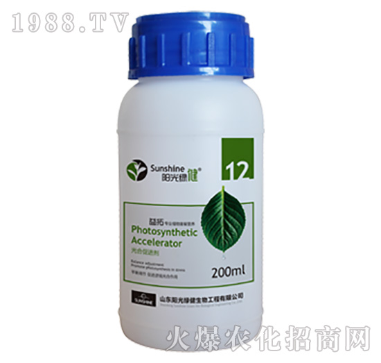 ��ϴ��M��-����-12-ꖹ�G��