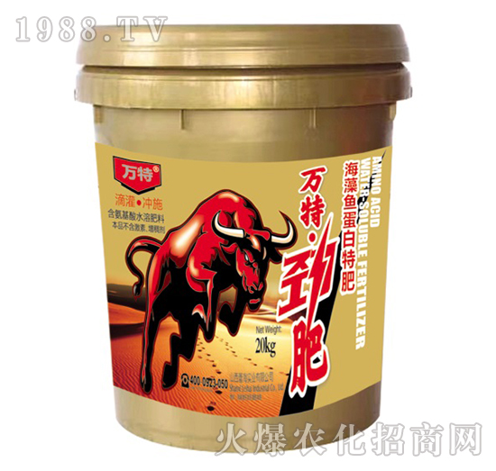 �����~�����ط�-�f�؄ŷ�-�ٺ����I(y��)