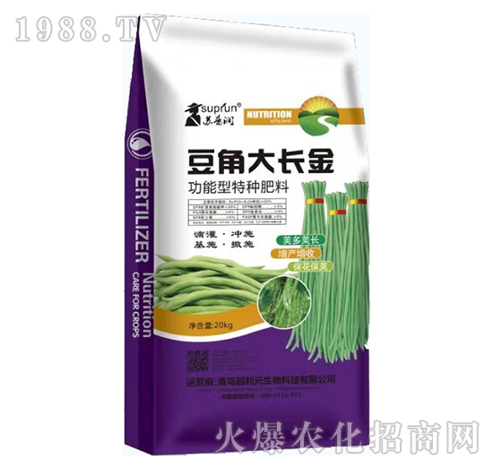 ���Ǵ��L(zh��ng)��-�@��Ԫ