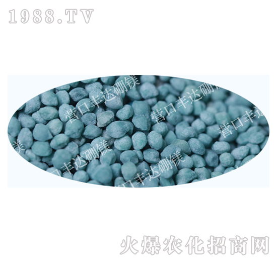 �����@���w��������-�S�_(d��)��