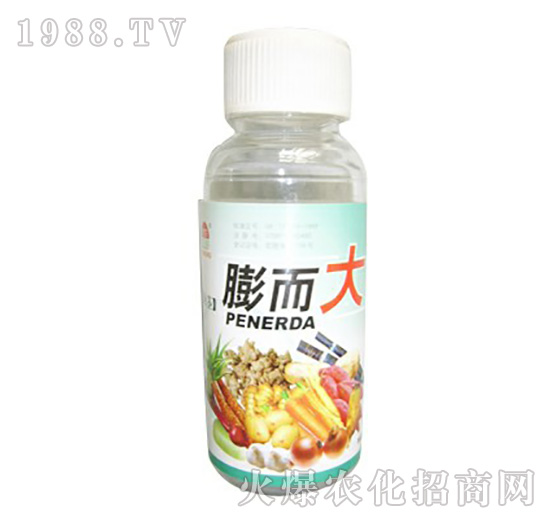 ֲ���{��(ji��)��-�����-ʥ�i