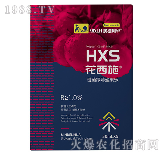 ���ѾG��������(l��)-����ʩ-������A