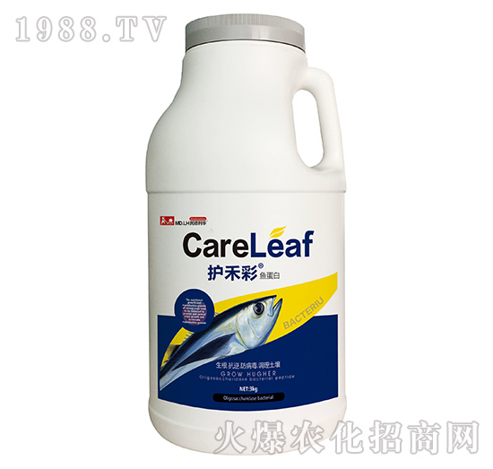 �~����-�o�̲�-������A