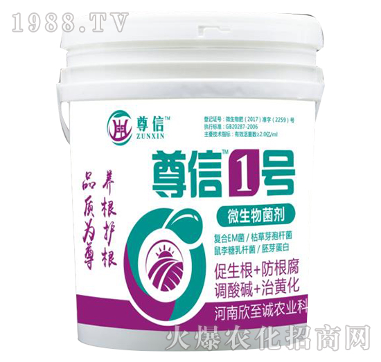 ΢�������-����1̖-�����\