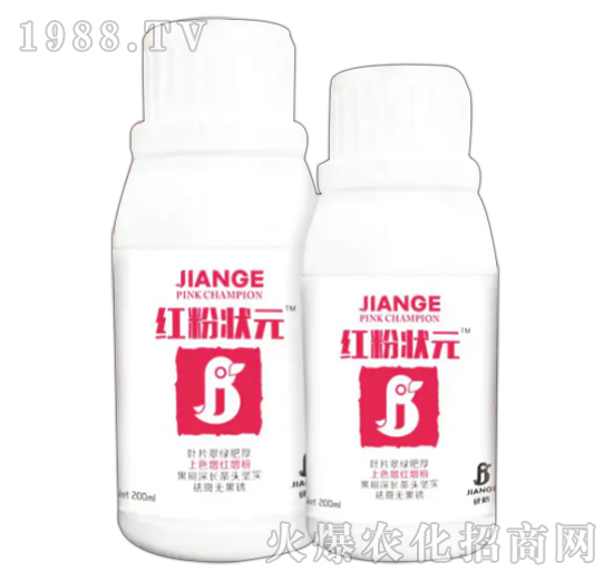 �t�۠�Ԫ-��������