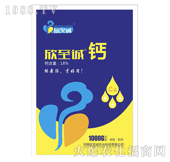 �����\(ch��ng)�}-�����\(ch��ng)