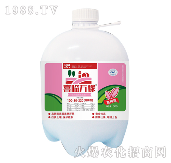 ����ֳ��ˮ�ܷ���100-80-320-ϲ�R�f��-������