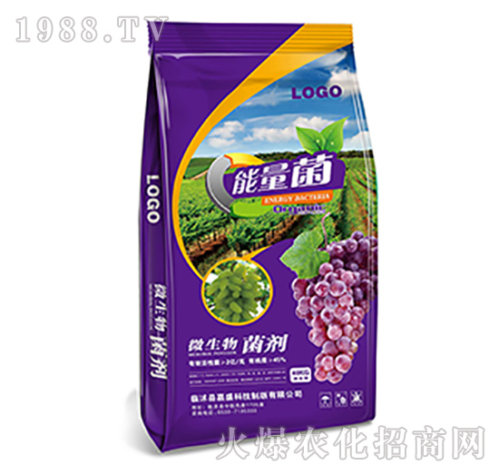 ���ь�(zhu��n)��΢�������-��(r��n)�f(w��n)���r(n��ng)�I(y��)